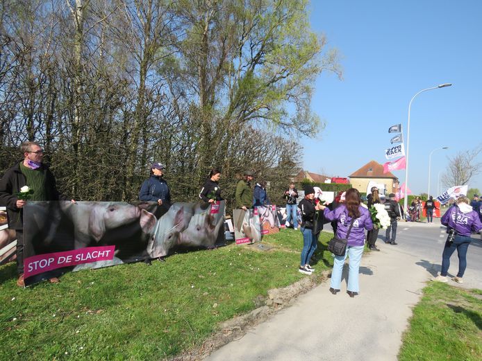 Protestactie  aan Tielts slachthuis