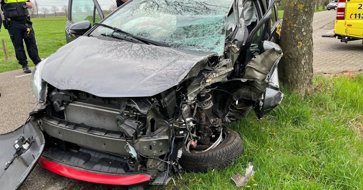 Oudere vrouw gewond na botsing tegen boom in Dongen, auto zwaar beschadigd.