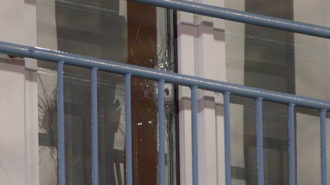 Flat beschoten aan de Loevesteinlaan, omstanders horen knallen en geschreeuw