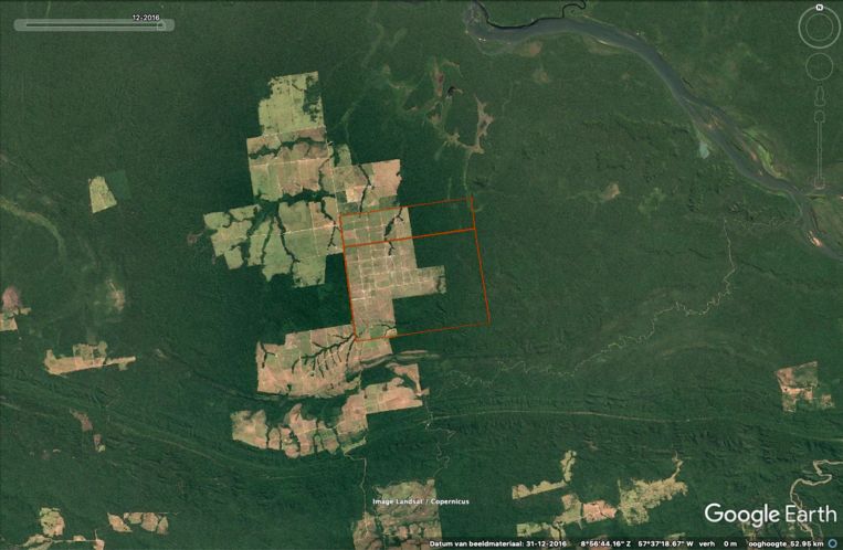 Boeren kappen stukken regenwoud in het Braziliaanse Amazonegebied. Beeld Pointer