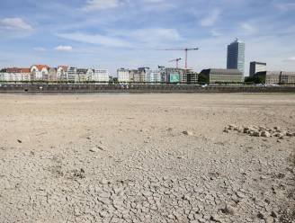 De levensader van de Duitse economie staat droog: waarom het lage waterpeil op de Rijn ook economisch een ramp is