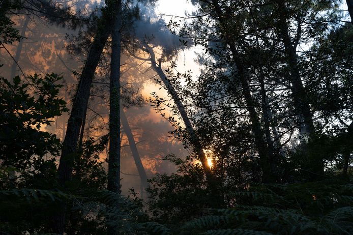 Het bos van La Teste de Buch in de Gironde in het zuidwesten van Frankrijk staat in brand.