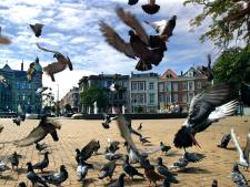 Huur in Haagse vrije sector vaak bijna twee keer te hoog