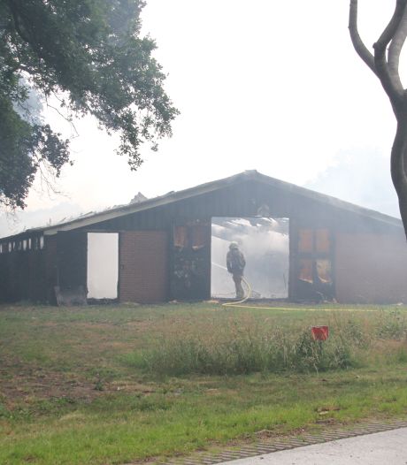 7000 eendenkuikens omgekomen bij schuurbrand in Markelo