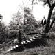 Timber Timbre - Timber Timbre