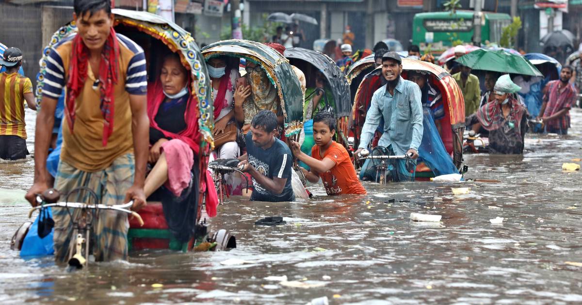 IMF: “More private financing for climate action is needed” |  environment