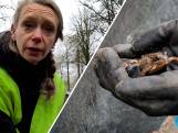 Red de padden en kikkers: samen oversteken in Deventer