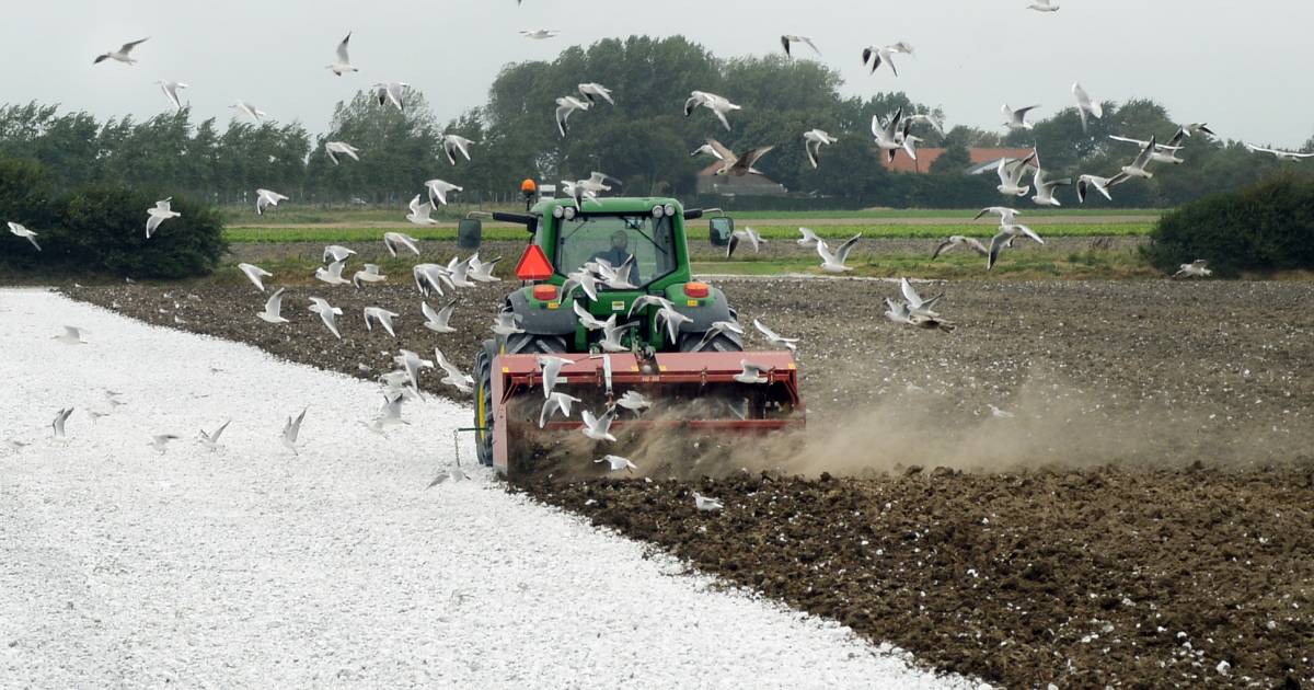 ‘Boeren bestreden succesvol de zure regen geef ze ook de ruimte bij stikstofaanpak’ Opinie