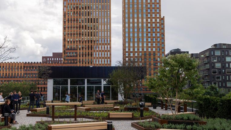 Ook de daktuin van paviljoen Circl is aangelegd met gerecycled materiaal. De steentjes van de paden komen bijvoorbeeld uit een oud klooster Beeld Rink Hof