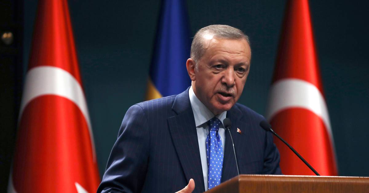 Erdogan: per il momento nessun sostegno all’adesione della Svezia alla Nato |  All’estero