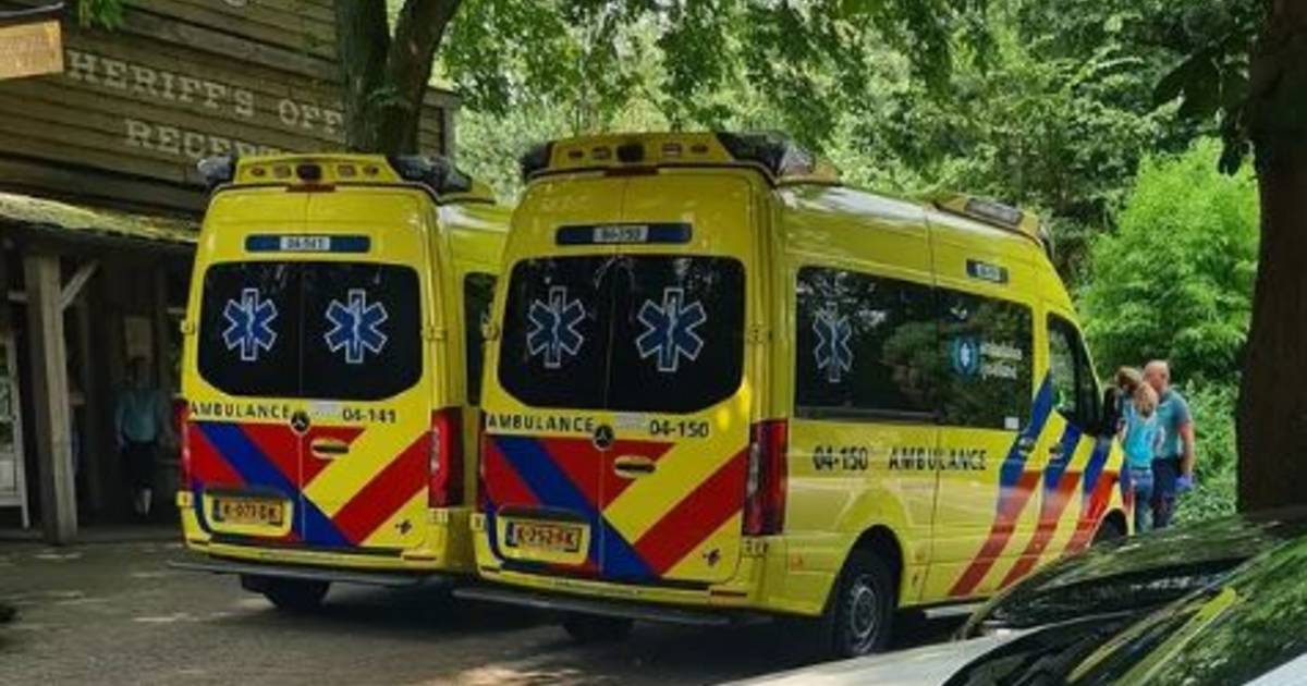 Meisje (6) in gezicht geraakt door trap van een paard op vakantiepark