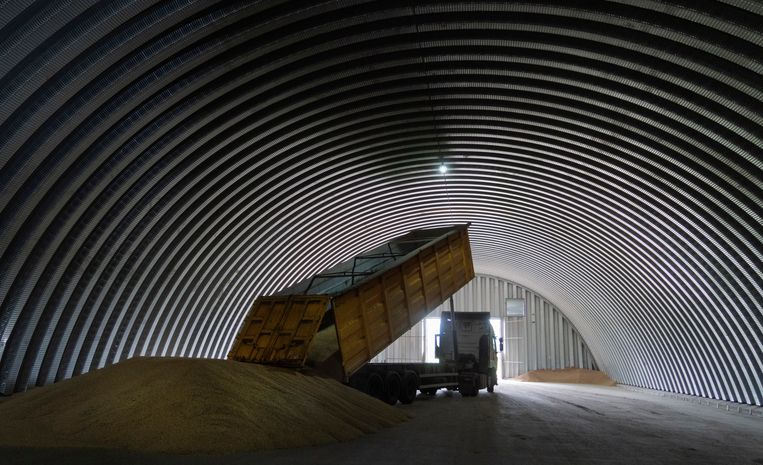 Un camion décharge du grain dans un silo du village de Zhurivka, août 2022. Image Efrem Lukatsky / AP