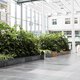 Het paradijselijke Erasmus MC in Rotterdam biedt patiënten een helende omgeving (vier sterren)