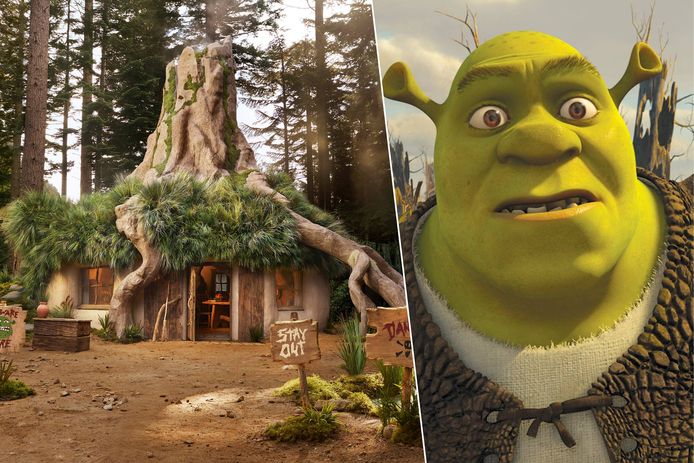 Airbnb verhuurt een woning in het thema van de populaire animatiefiguur 'Shrek'.