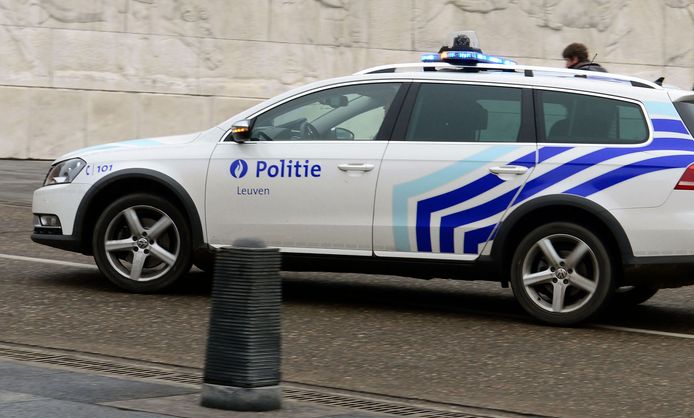 Illustratie PZ Leuven