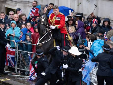 Un cheval fonce dans la foule lors de la procession royale