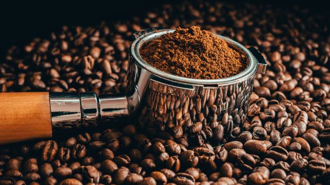 Van Douwe Egberts tot Rombouts: waarom bijna al onze koffie is gemaakt met dezelfde boon (en dat echt niet goed is)