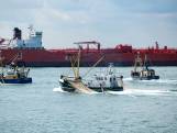 Vissers praten met 3M over PFAS-schade in Westerschelde
