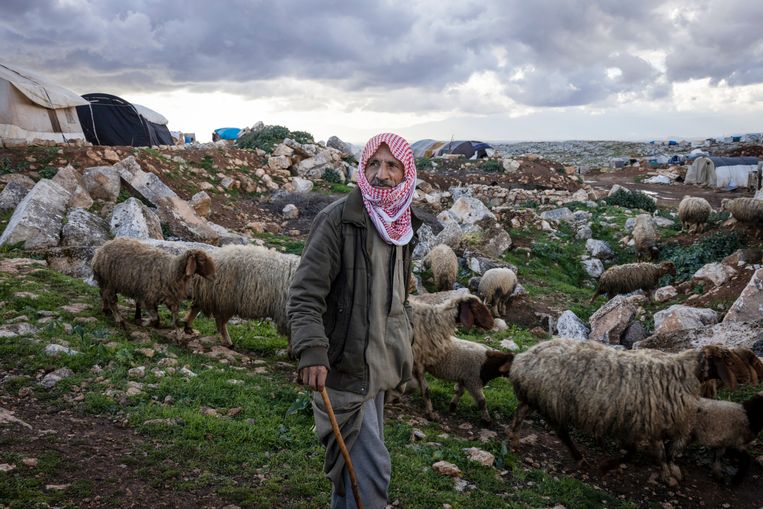 De herder Ali Murai met zijn kudde schapen in Al-Kfeir. Het landschap ligt niet alleen bezaaid met eeuwenoude brokstukken, maar ook met geïmproviseerde onderkomens van vluchtelingen. 
 Beeld NYT/IVOR PRICKETT
