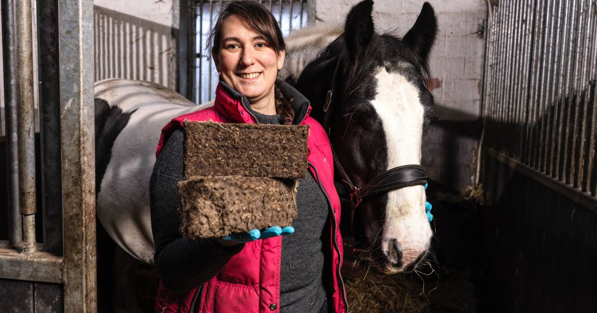 Good for your wallet and the environment: let your wood stove burn on horse manure