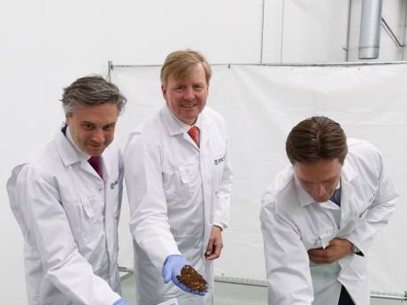De grootste insectenkwekerij ter wereld staat in Bergen op Zoom en is geopend door koning Willem-Alexander