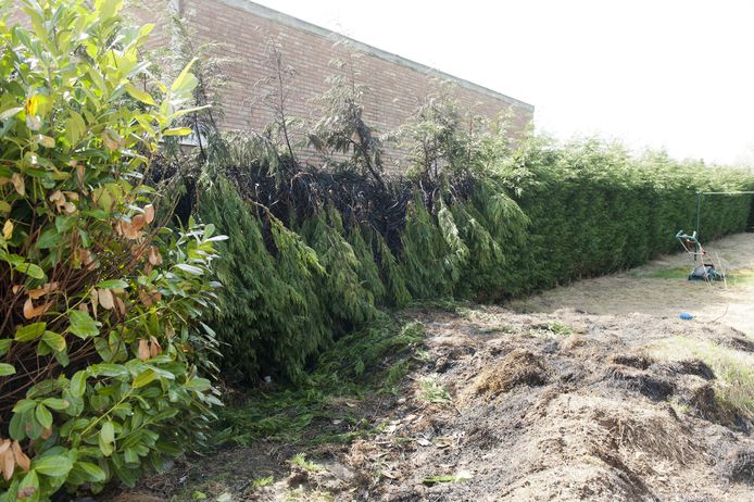grasbrand kan bewoner tot 1 500 euro