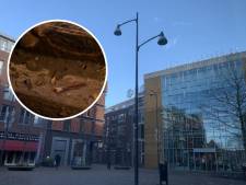 Graven, ontdekken en meer: dit kun je doen tijdens de Nationale Archeologiedagen in Veenendaal