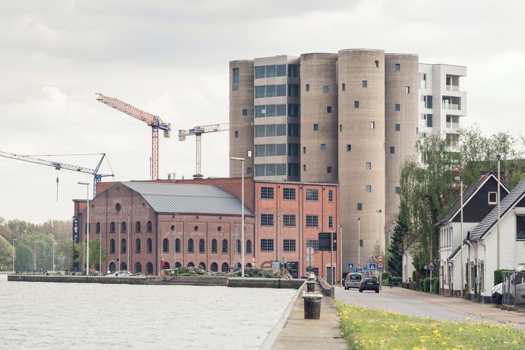 De Kanaalsite in Wijnegem. Beeld Tim Coppens
