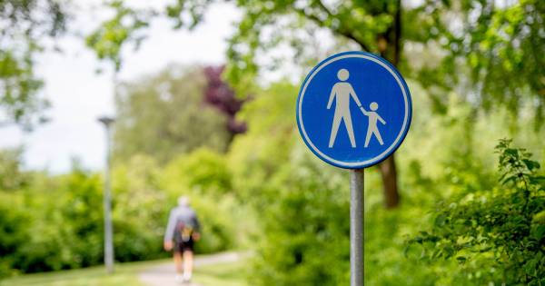 RIBW en West Maas en Waal trekken boetekleed aan over afdoening seksincident in Wamel - De Gelderlan