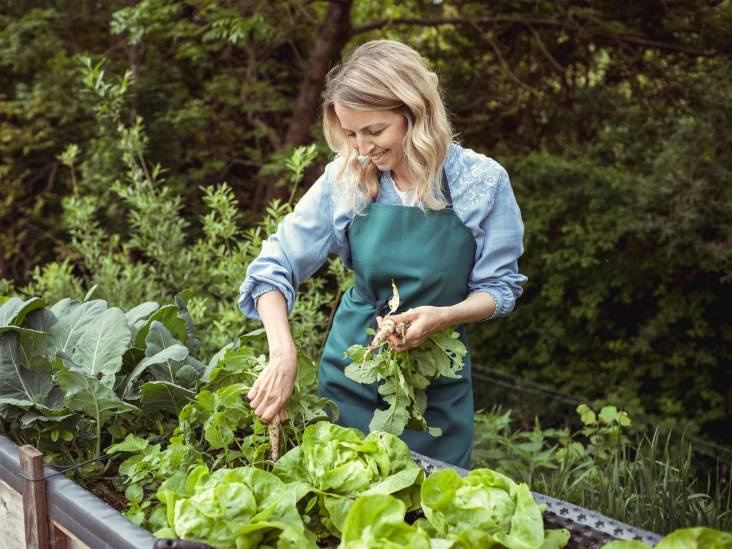 Zelf een moestuin aanleggen? Dat kan ook prima op je balkonnetje: ‘Zonnig plekje is al genoeg’