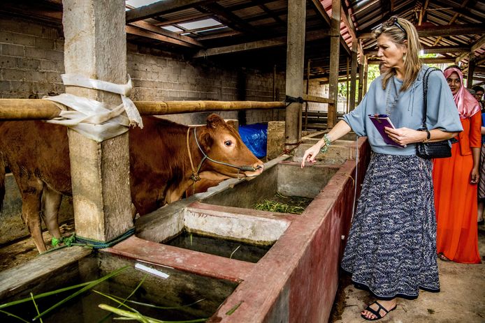 Koningin Maxima is in gesprek met eigenaren van kleine boerenbedrijven in de provincie Lampung. Maxima bezoekt Indonesië als speciaal pleitbezorger van de VN op het gebied van het toegankelijker maken van financiële diensten. Foto Robin Utrecht
