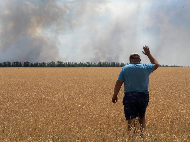 Oorlog verwoest Oekraïense graanteelt: “Ze steken velden in brand en schieten op boeren”