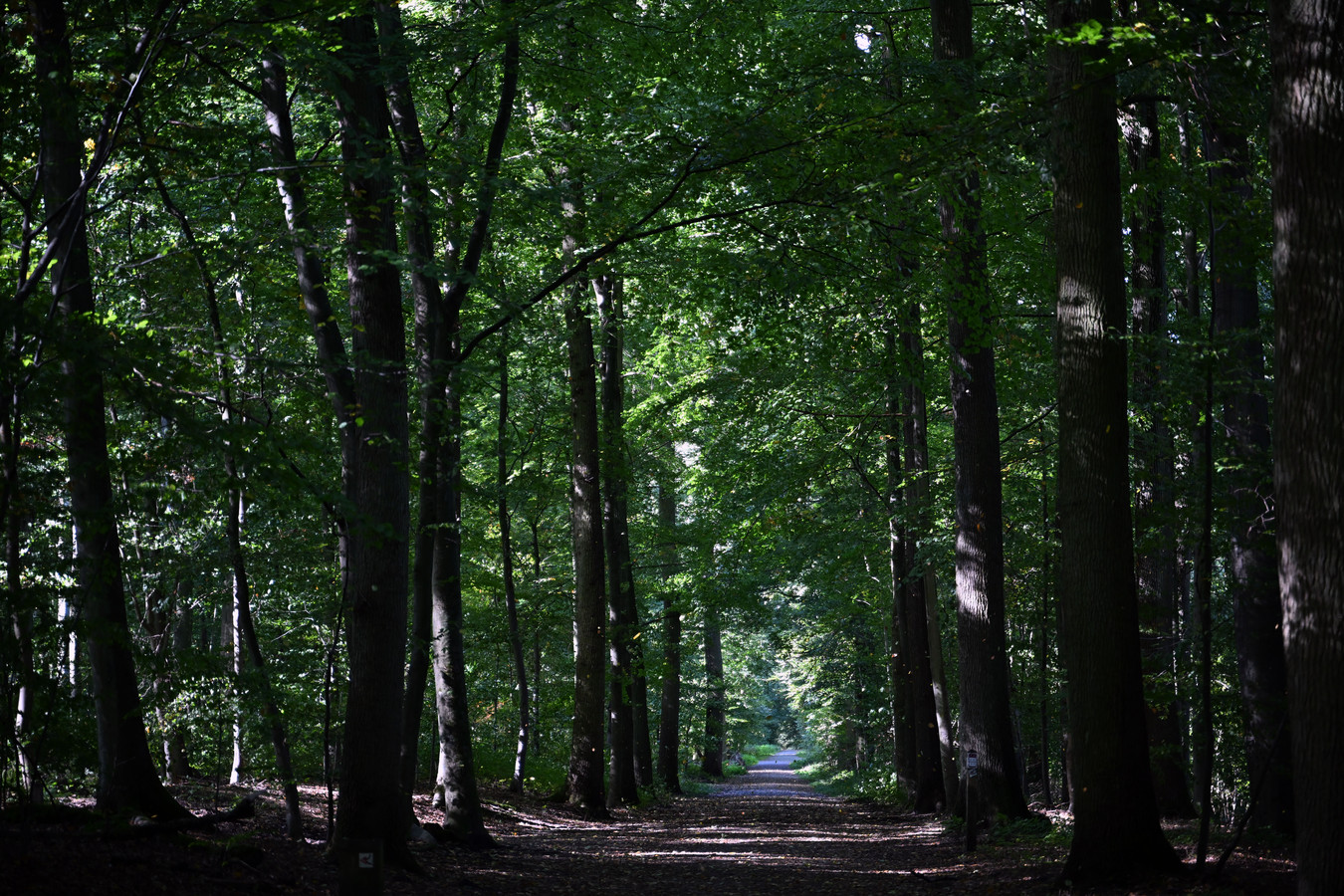 Opnieuw stapje dichter Nationaal Park Brabantse Wouden “Surplus voor