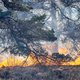 Het natuurbrandseizoen is geopend. Zijn we inmiddels beter voorbereid op een droog seizoen?