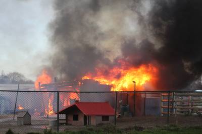 Dierenambulance moet dode honden identificeren na brand: ‘Iedereen loopt hier te janken’