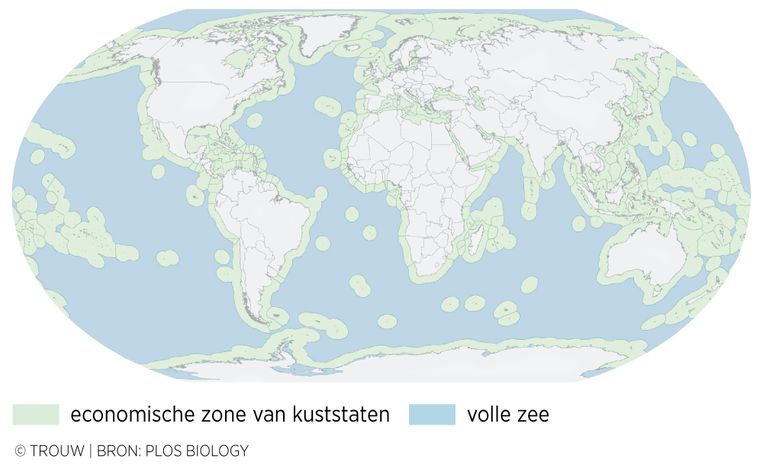 null Beeld 