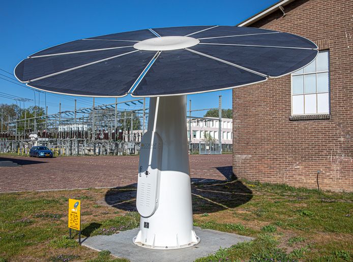 Een 'zonnebloem' op het terrein van Ecoplant in Zwolle.