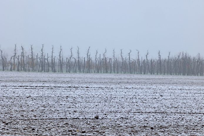 De eerste sneeuw in Kortessem.