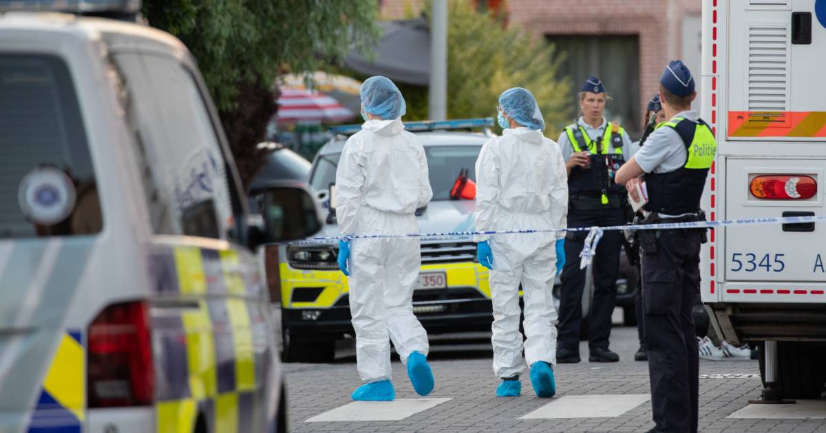 'Dutch drug criminal victim of fatal shooting in Antwerp' Pledge Times