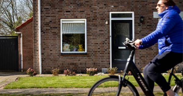 Beren voor de ramen: ook een pluizige kettingreactie in Liessel - Eindhovens Dagblad