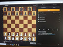 Online schaken is heel populair.
