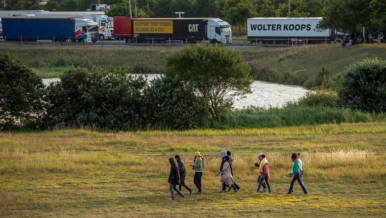 Migranten bij Calais proberen de Eurotunnel te bereiken. Beeld afp