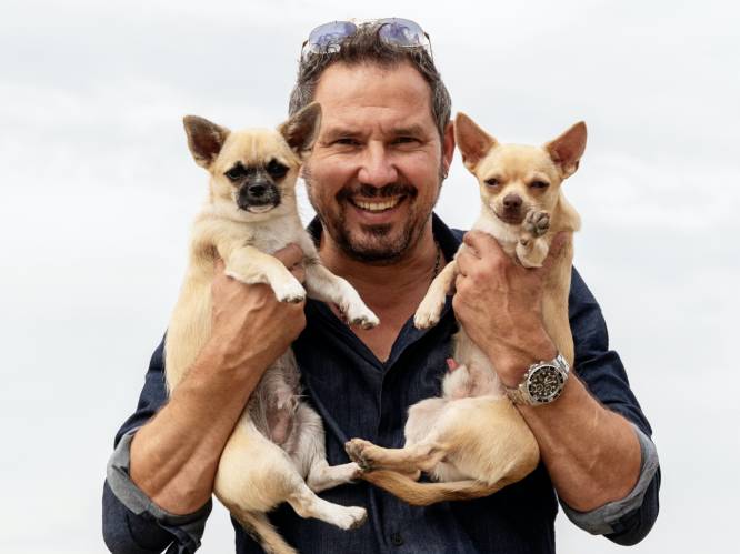 De gezonde gewoontes van Axel Daeseleire: “Ik zet elke dag dertienduizend stappen en heb twee hometrainers”   