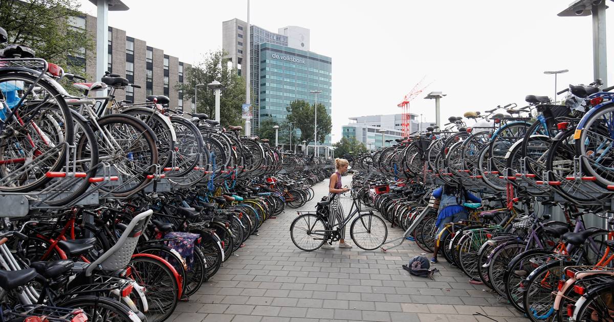 Reizende handelaar chef levenslang Utrechters halen fiets vaak niet op; 'Er staat hier nog genoeg' | Utrecht |  AD.nl