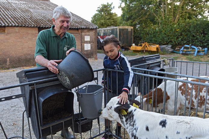 De 9-jarige Mees Jansen aait een kalfje, terwijl melkveehouder Wil Muskens het jongvee melk geeft.