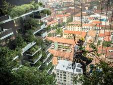 Groenste gebouw van Utrecht is zo duurzaam niet: pas over tientallen jaren is CO₂-uitstoot gecompenseerd