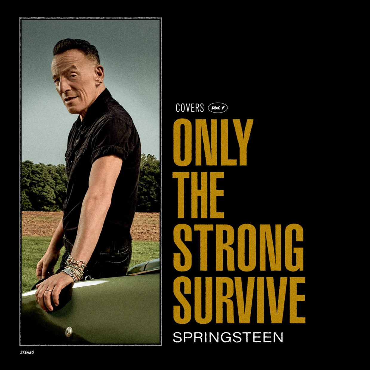 Bruce Springsteen - Only The Strong Survive Beeld RV