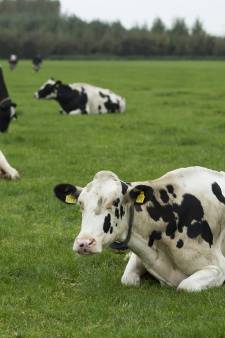 Landbouwgrond over? Geef het aan een andere boer via ‘de Grondbank’