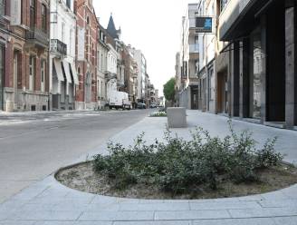 Jan Mahieustraat dicht door aanplant bomen