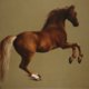 De hengsten, merries en veulens van Stubbs zijn magisch, ook voor niet-paardenmeisjes